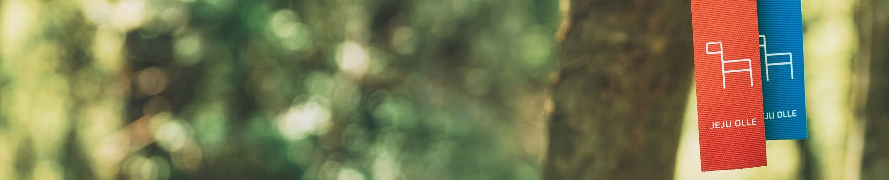 header_image